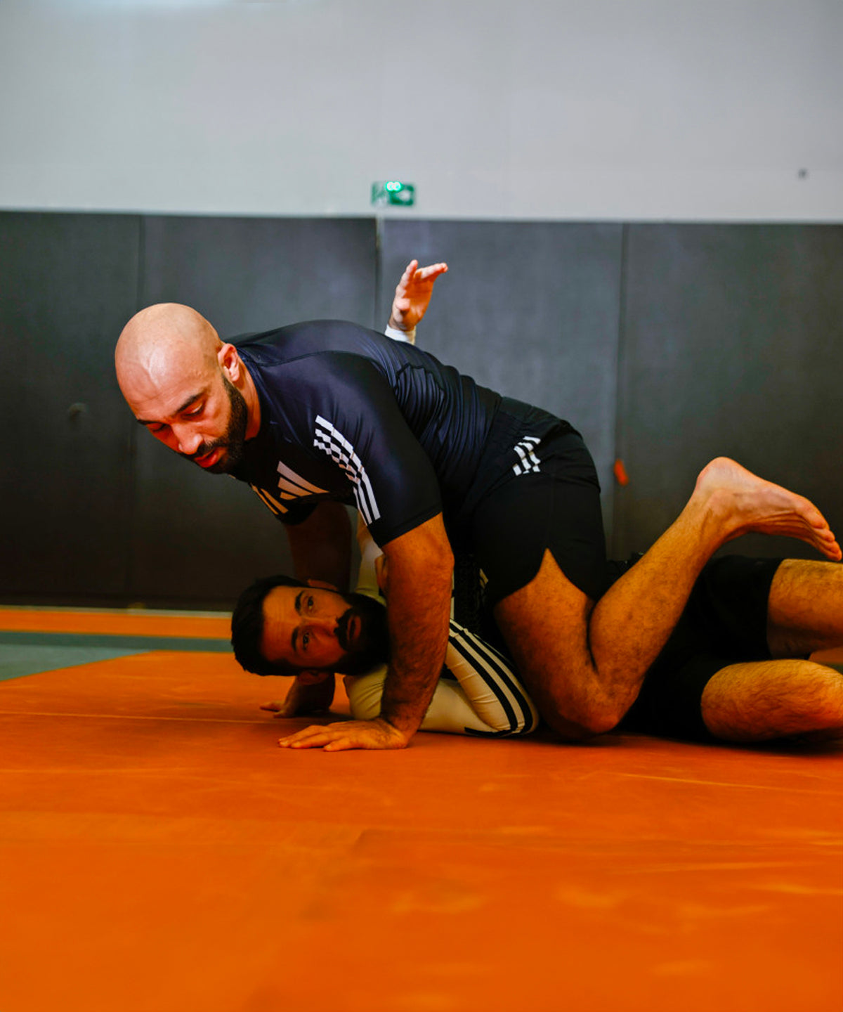 Adidas Grappling IBJJF Fightshorts - Nero