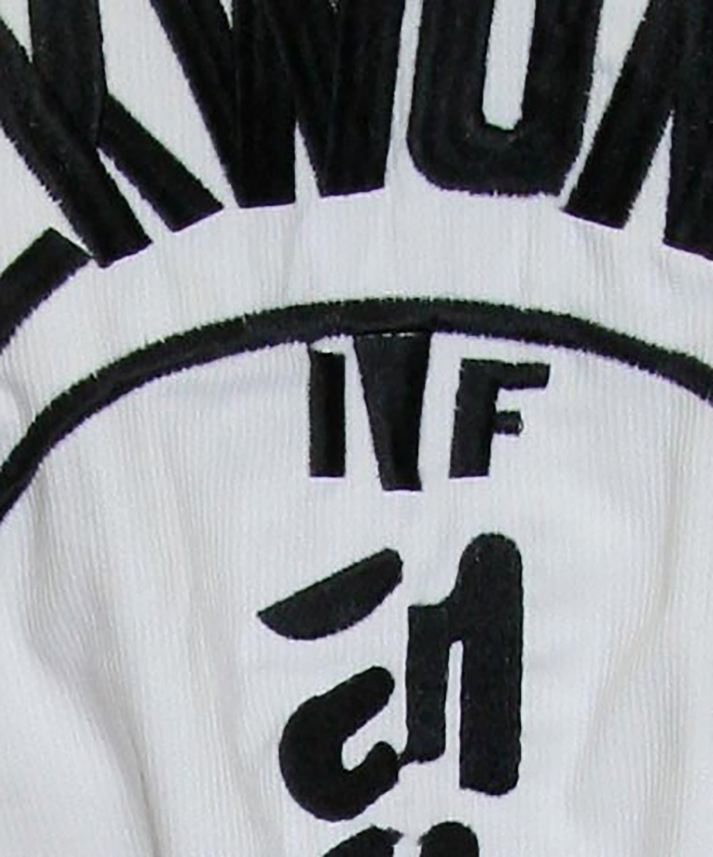 Fujimae ITF Master Dobok