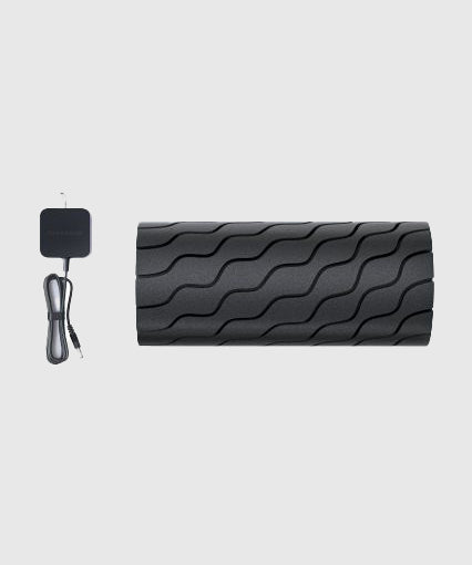 Rouleau de massage Theragun - Noir