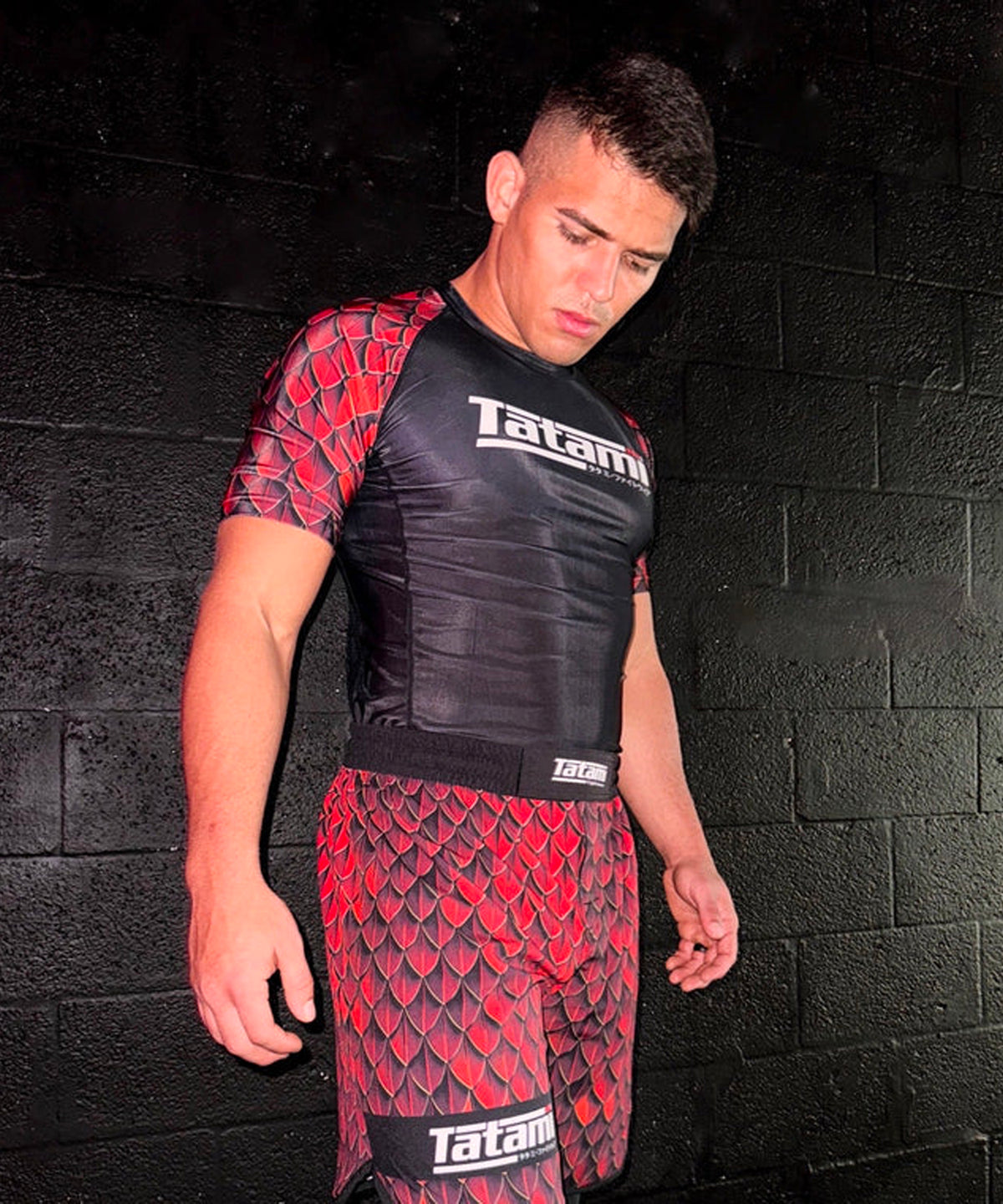 Fightshort Tatami Fightwear Recharge Dragon