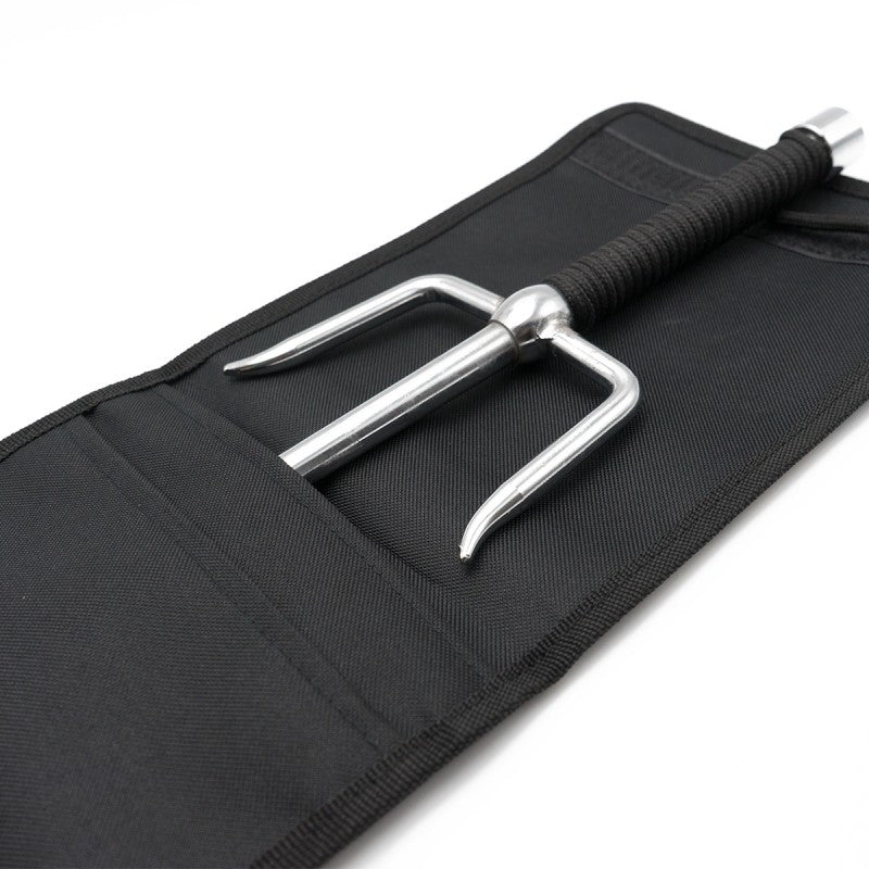 SAIS Fujimae Case