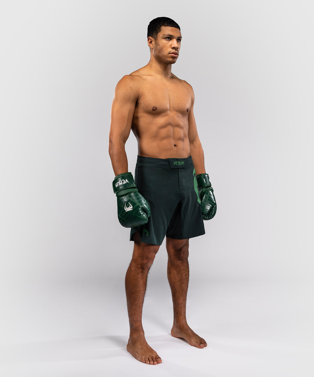 Venum Light 5.0 Fightshorts - Verde bosco/Verde chiaro