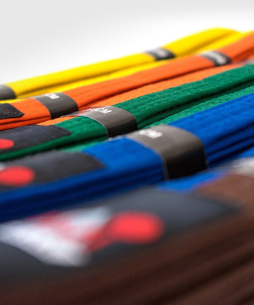 Fujimae Bicolore Martial Arts Belt - Orange/Green