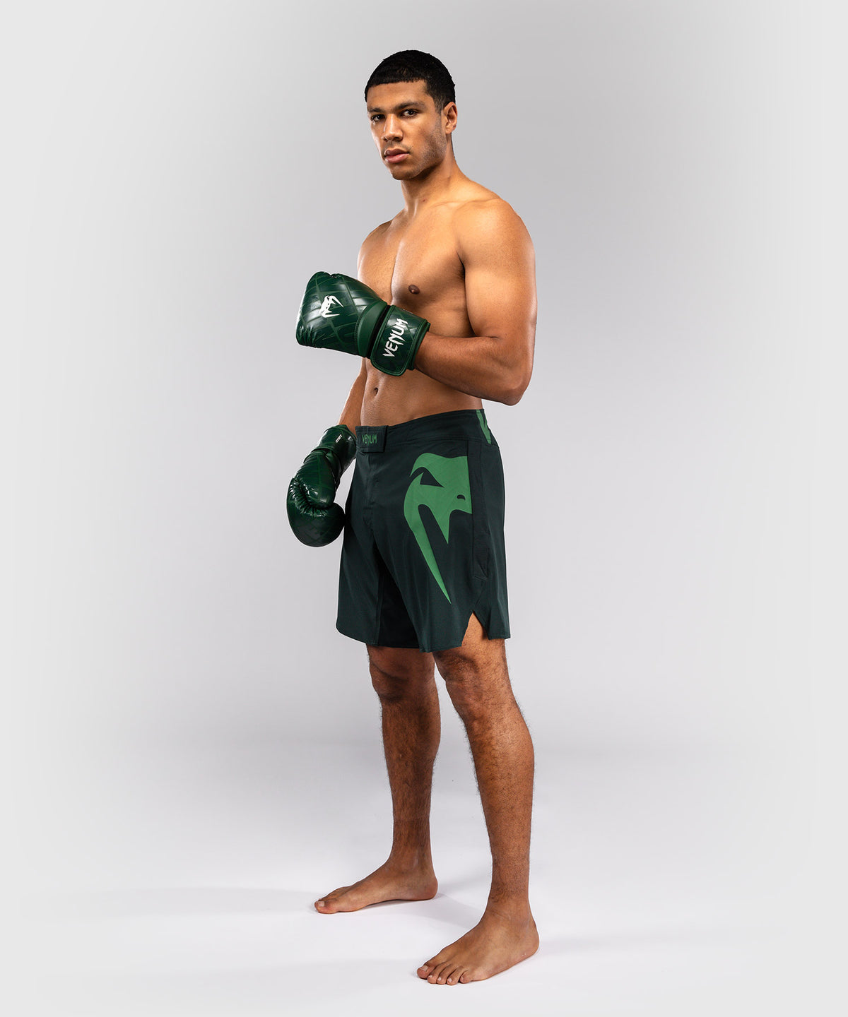 Venum Light 5.0 Fightshorts - Verde bosco/Verde chiaro