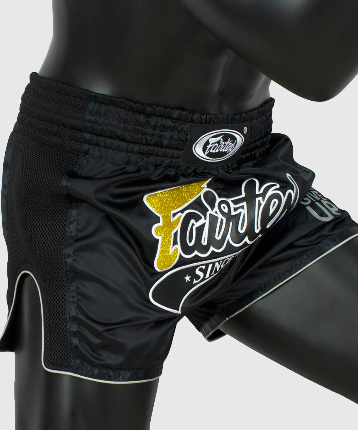 Fairtex Muay Thai Shorts - Black