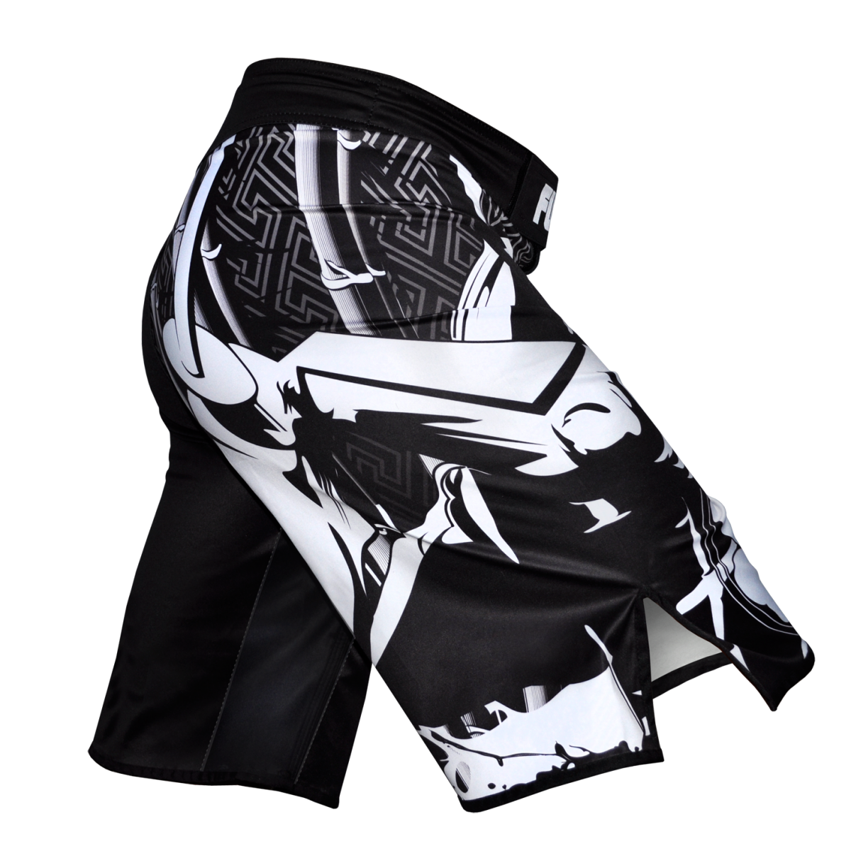 Fuji Sports Musashi Fightshorts - Negro