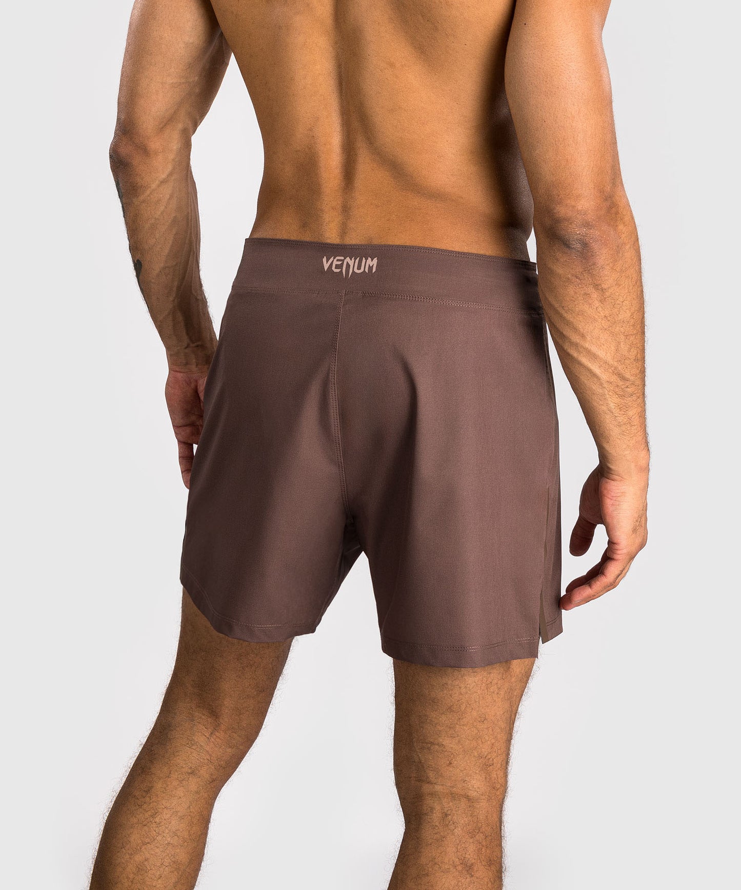 Venum No Gi Pantaloncini da combattimento - Marrone cioccolato