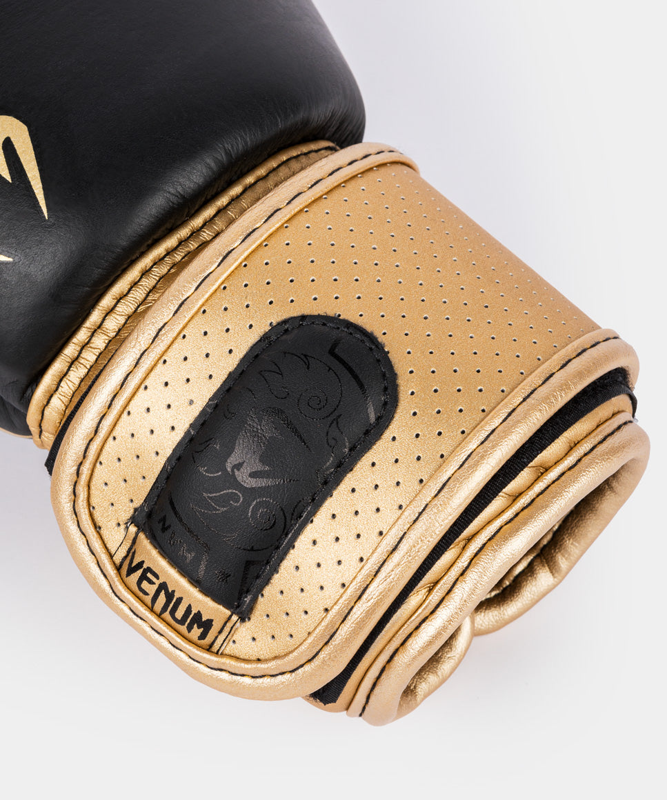 Guantes de boxeo Venum Power 2.0 - Negro/Dorado
