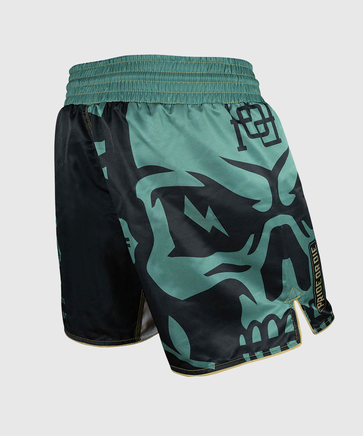 Pride Or Die No Surrender Fightshorts