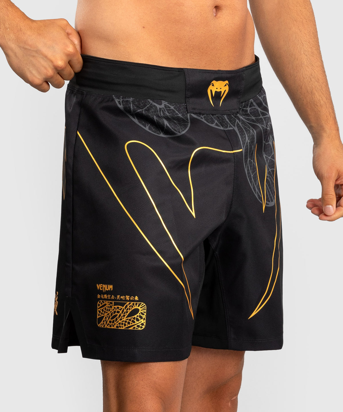 Short de Combat Venum Serpenti – Noir/Argent/Or