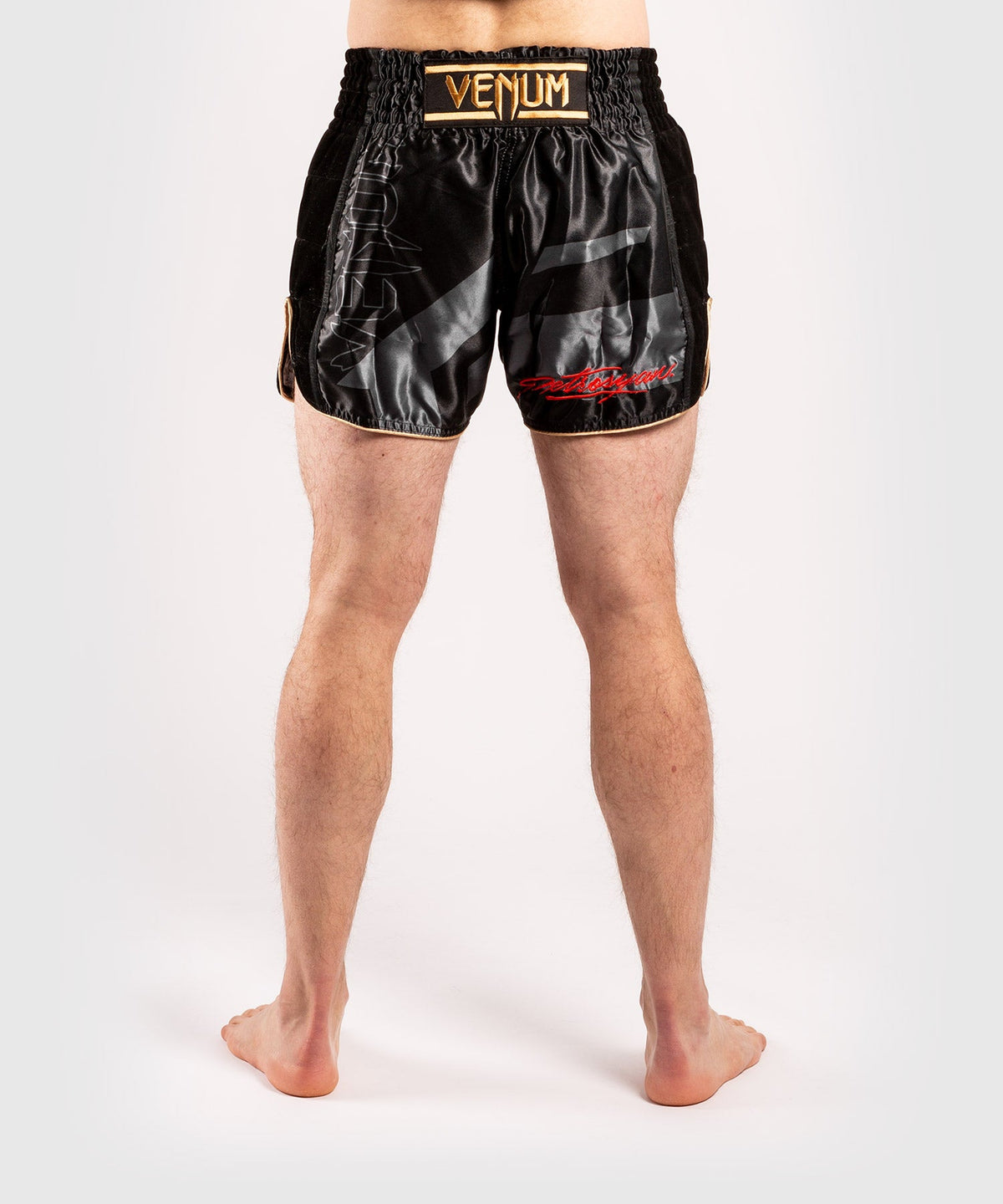 Venum Petrosyan 2.0 Muay Thai Shorts - Schwarz/Gold