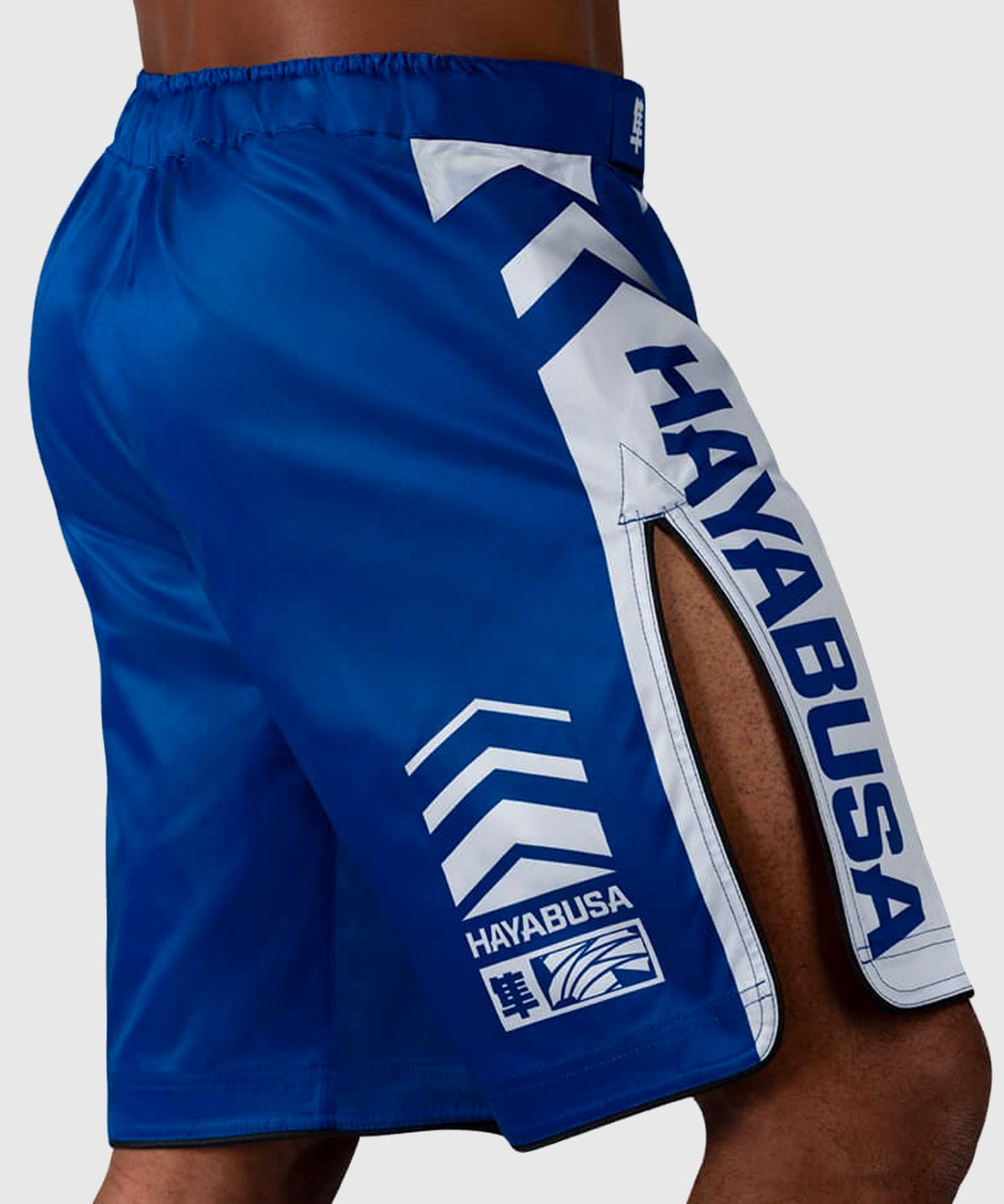 Hayabusa Icon Fightshorts - Blu
