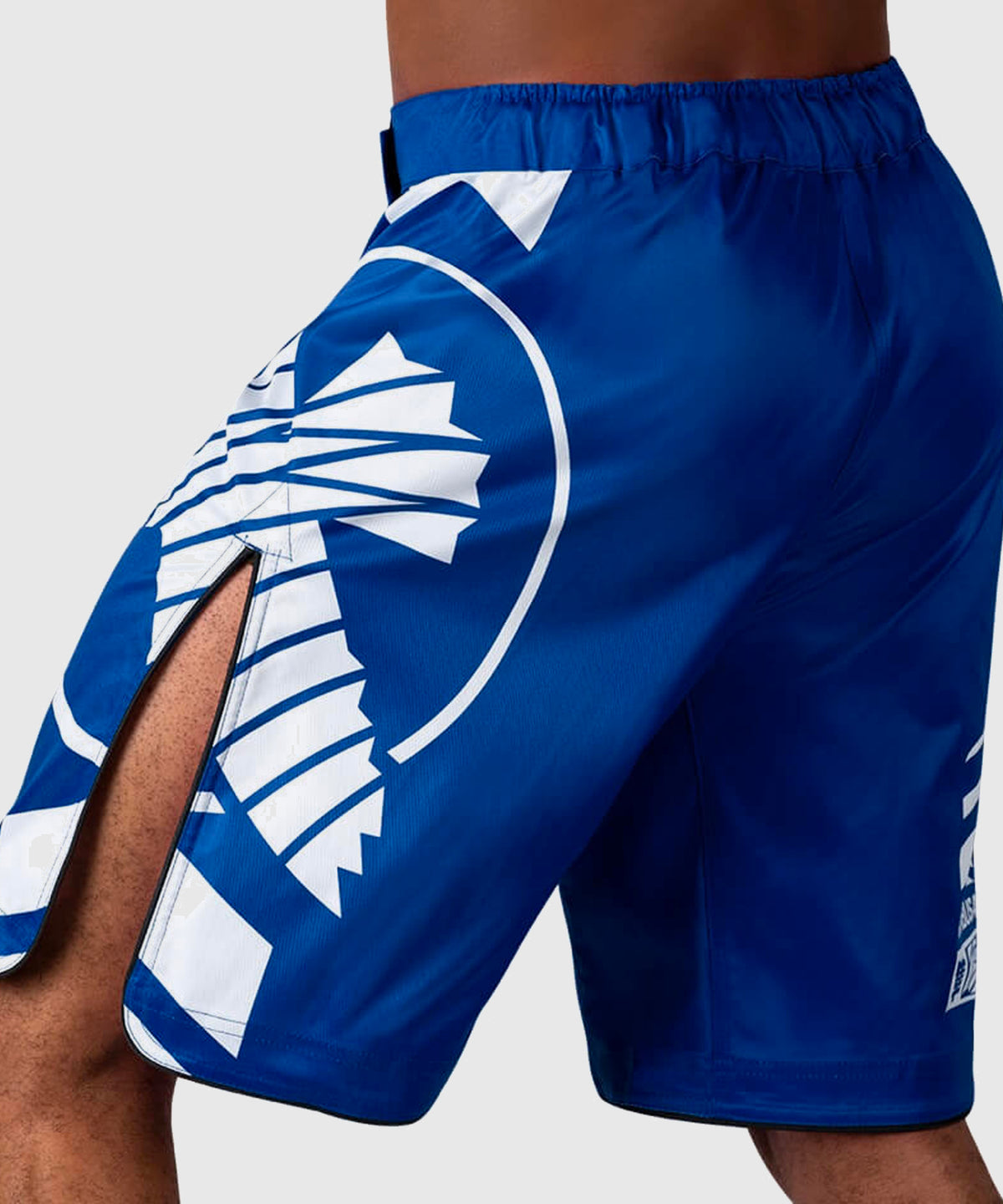 Hayabusa Icon Fightshorts - Blu