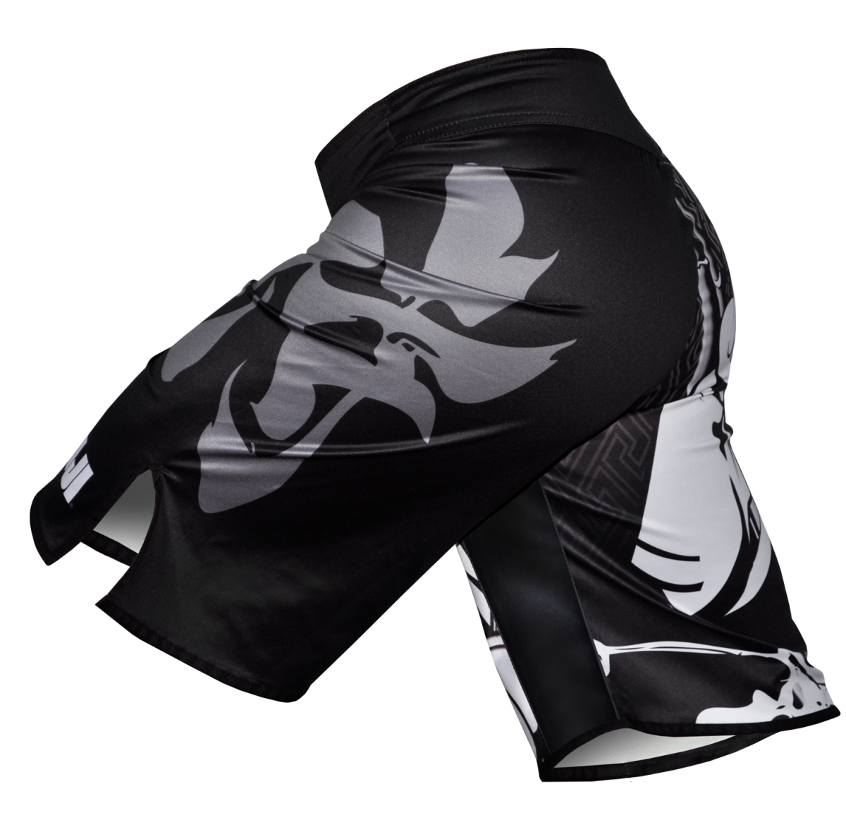 Fuji Sports Musashi Fightshorts - Negro