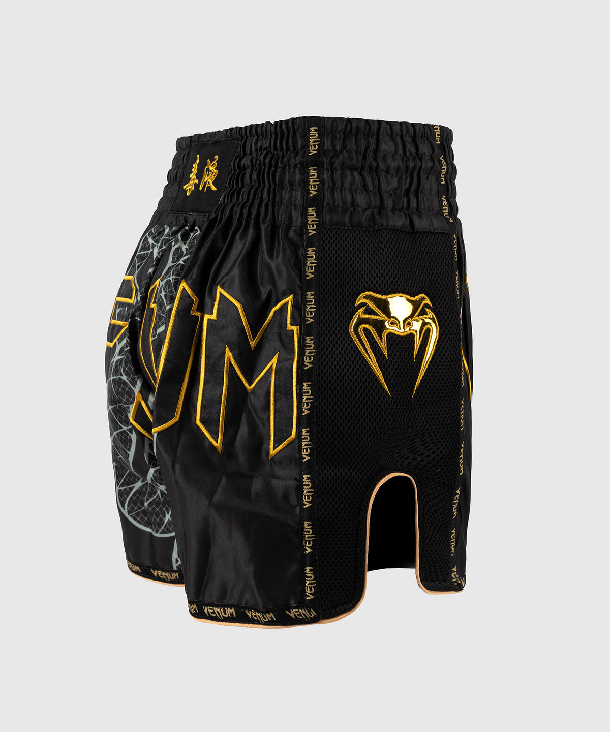 Short de Muay Thai Venum Serpenti – Noir/Argent/Or