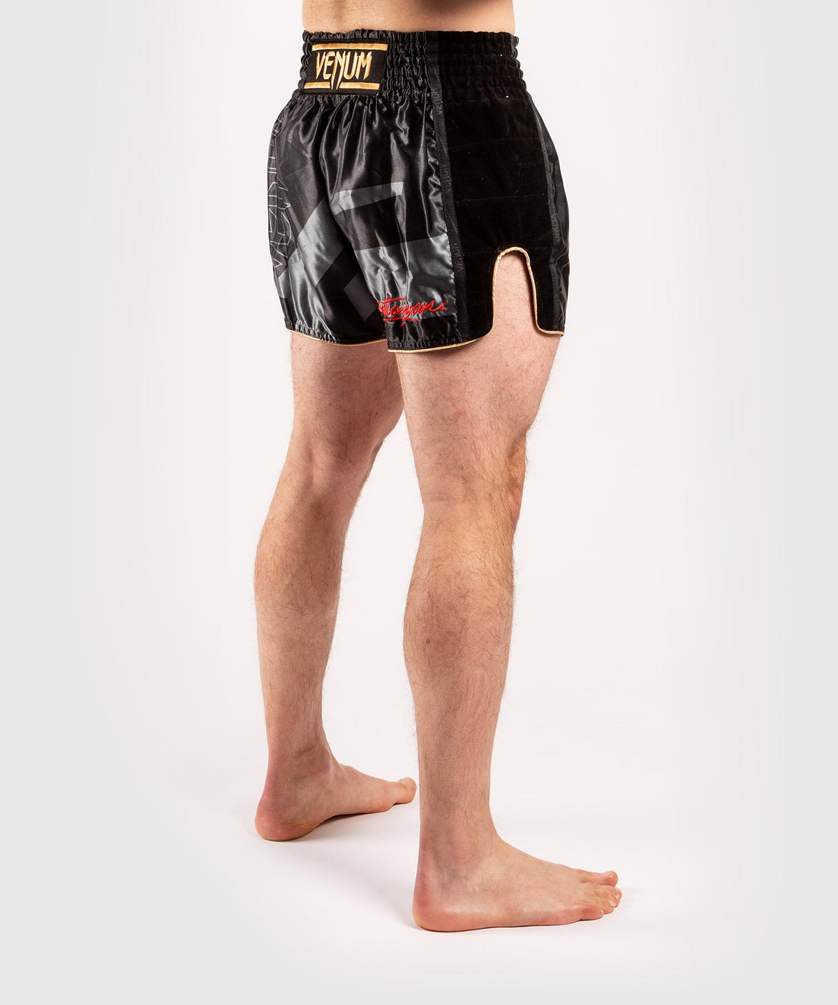 Venum Petrosyan 2.0 Muay Thai Shorts - Schwarz/Gold