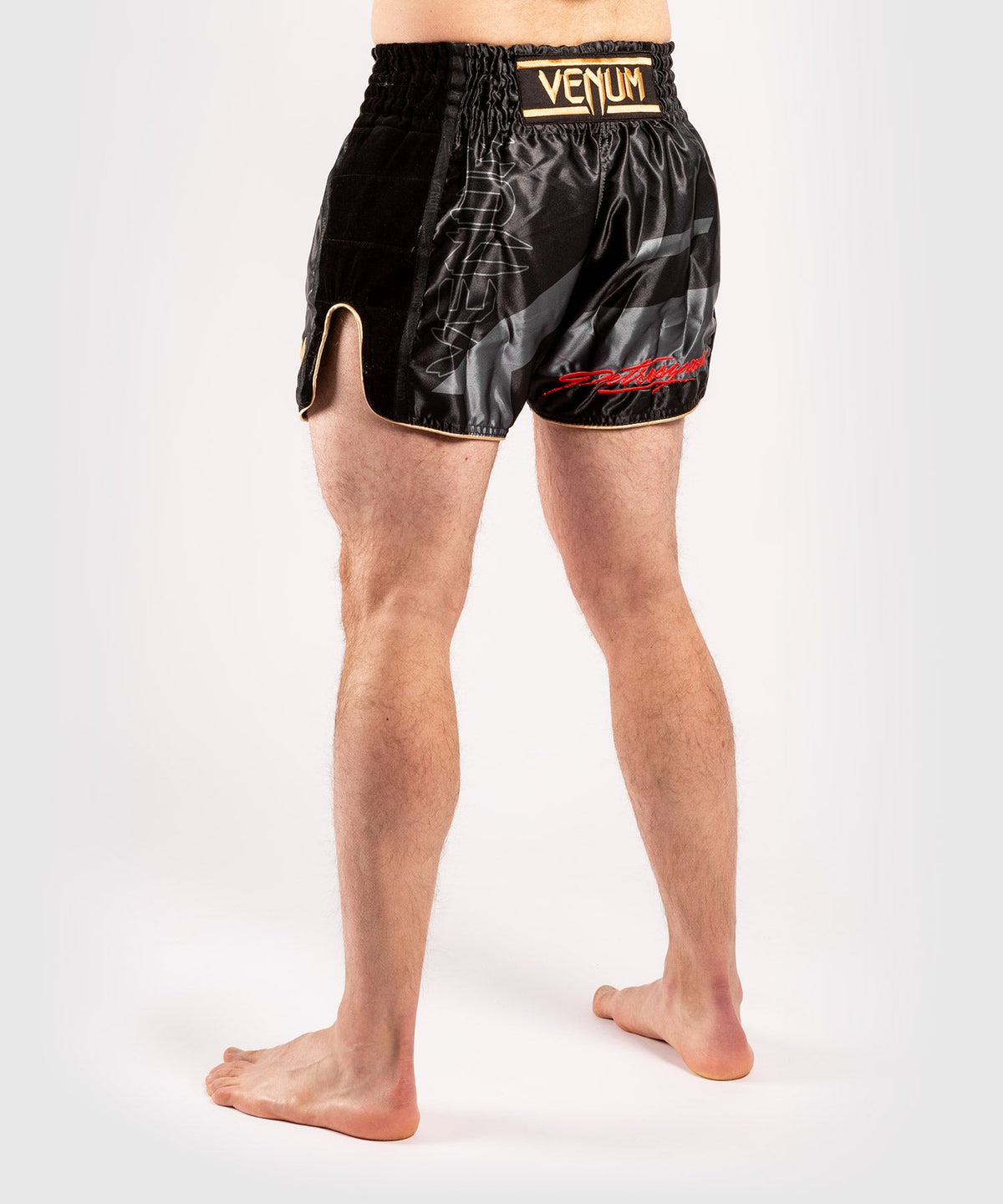 Venum Petrosyan 2.0 Muay Thai Shorts - Schwarz/Gold