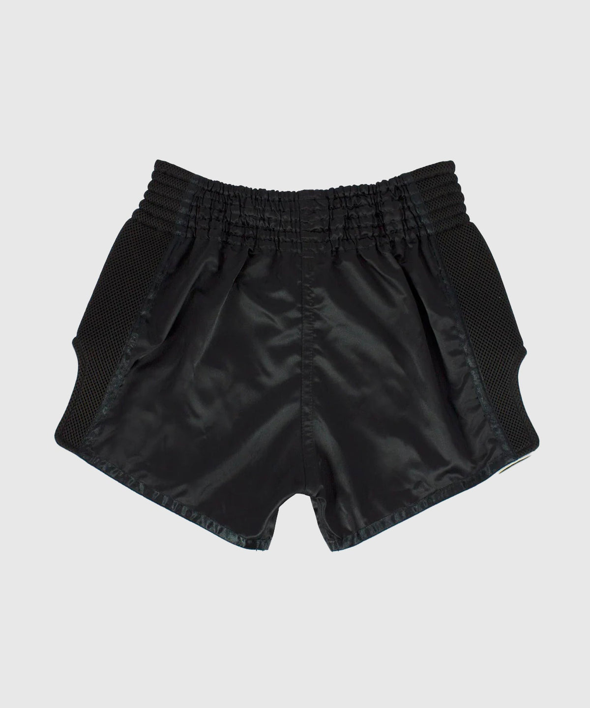 Fairtex Muay Thai Shorts - Black