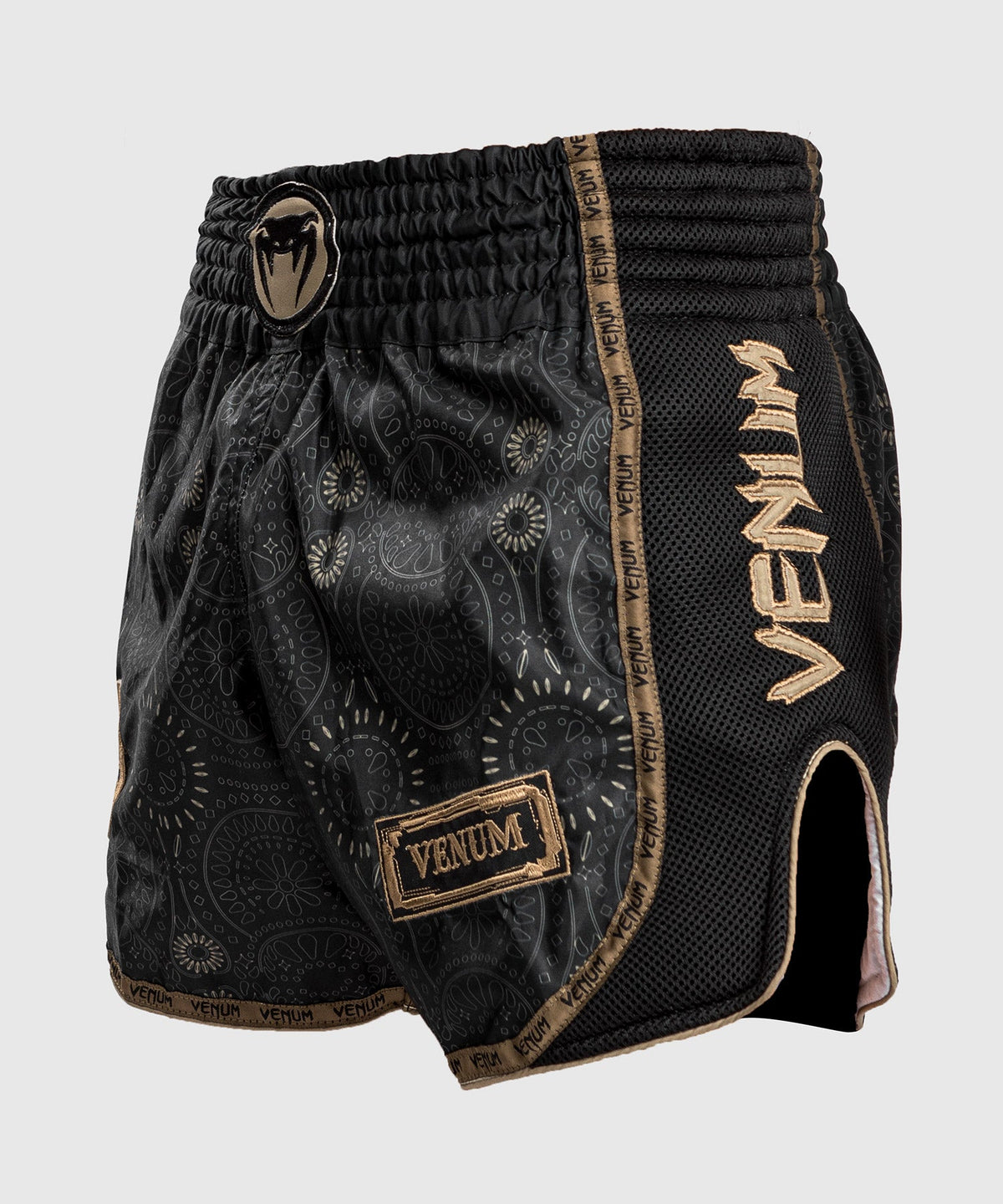 Short de Muay Thai Santa Muerte Dark Side Venum- Noir/Marron