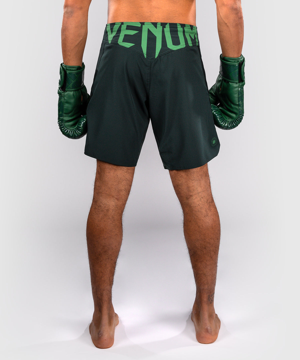 Venum Light 5.0 Fightshorts - Verde bosco/Verde chiaro