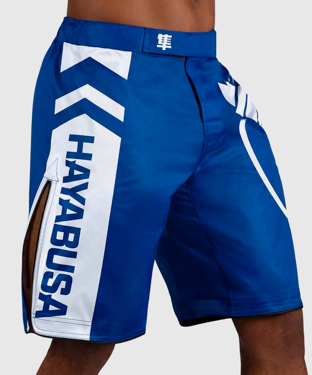 Hayabusa Icon Fightshorts - Blu