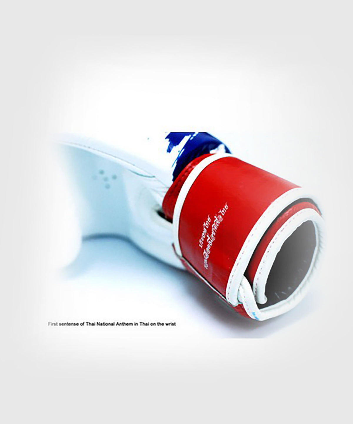 Fairtex Thai Pride Guantoni da Boxe - Bianco/Blu/Rosso