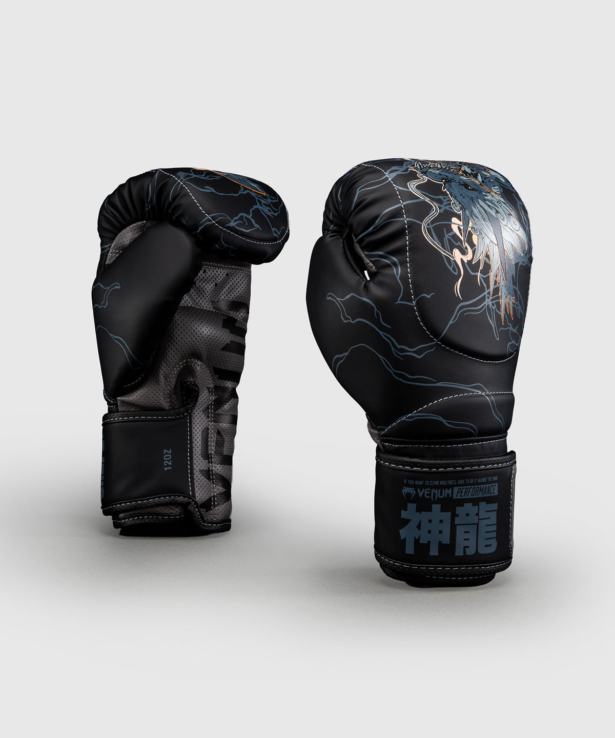 Venum Thunder Dragon Guantoni da boxe – Nero/Grigio/Rame