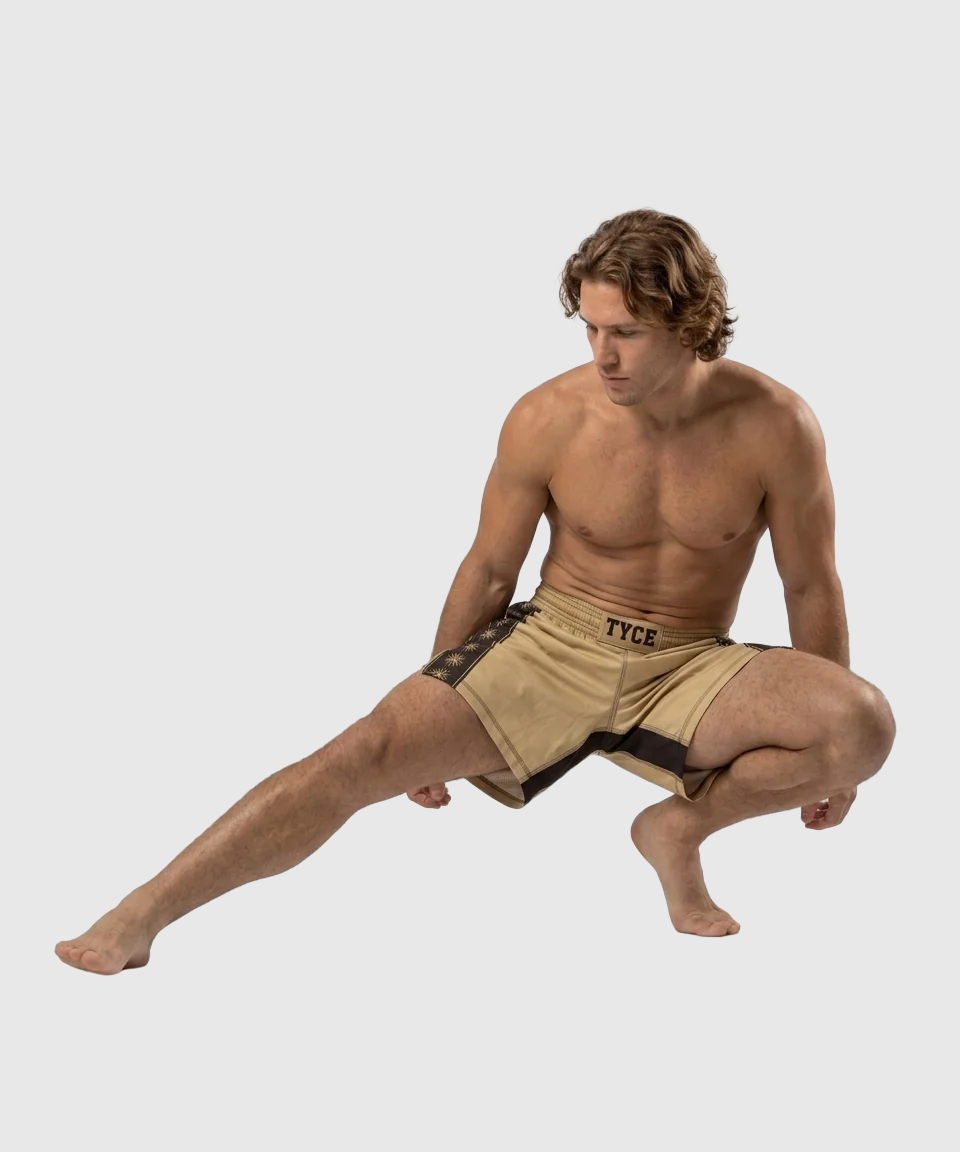 TYCE CULTURE OF WAR Alexander der Große Fightshorts - Gold