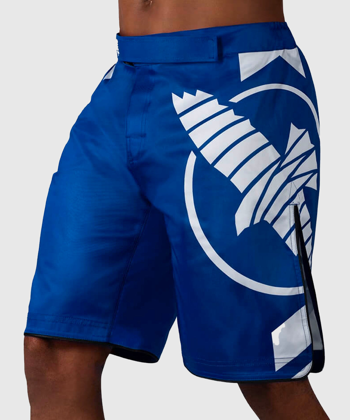 Hayabusa Icon Fightshorts - Blu
