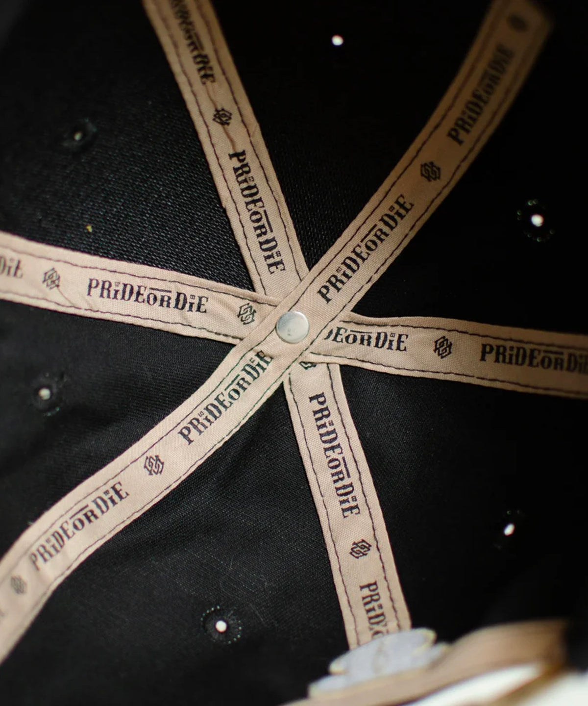 Pride Or Die Fight Reckless Cap – Schwarz